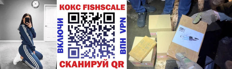 цена наркотик  Подпорожье  Кокаин Fish Scale 
