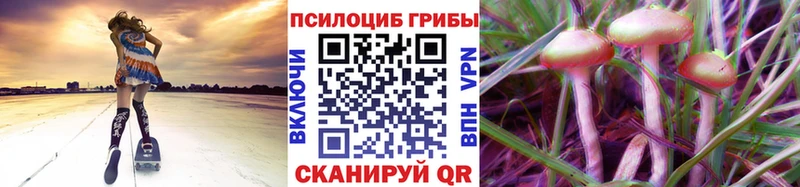 цены   Подпорожье  Галлюциногенные грибы Magic Shrooms 